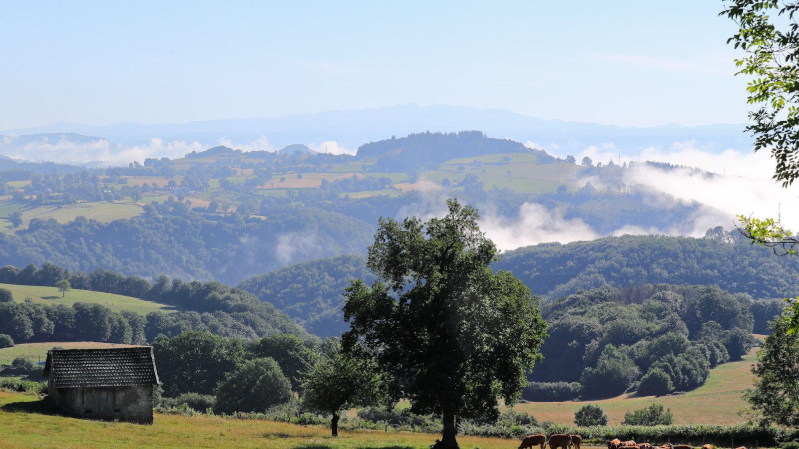 Vue sur le puy du Mas