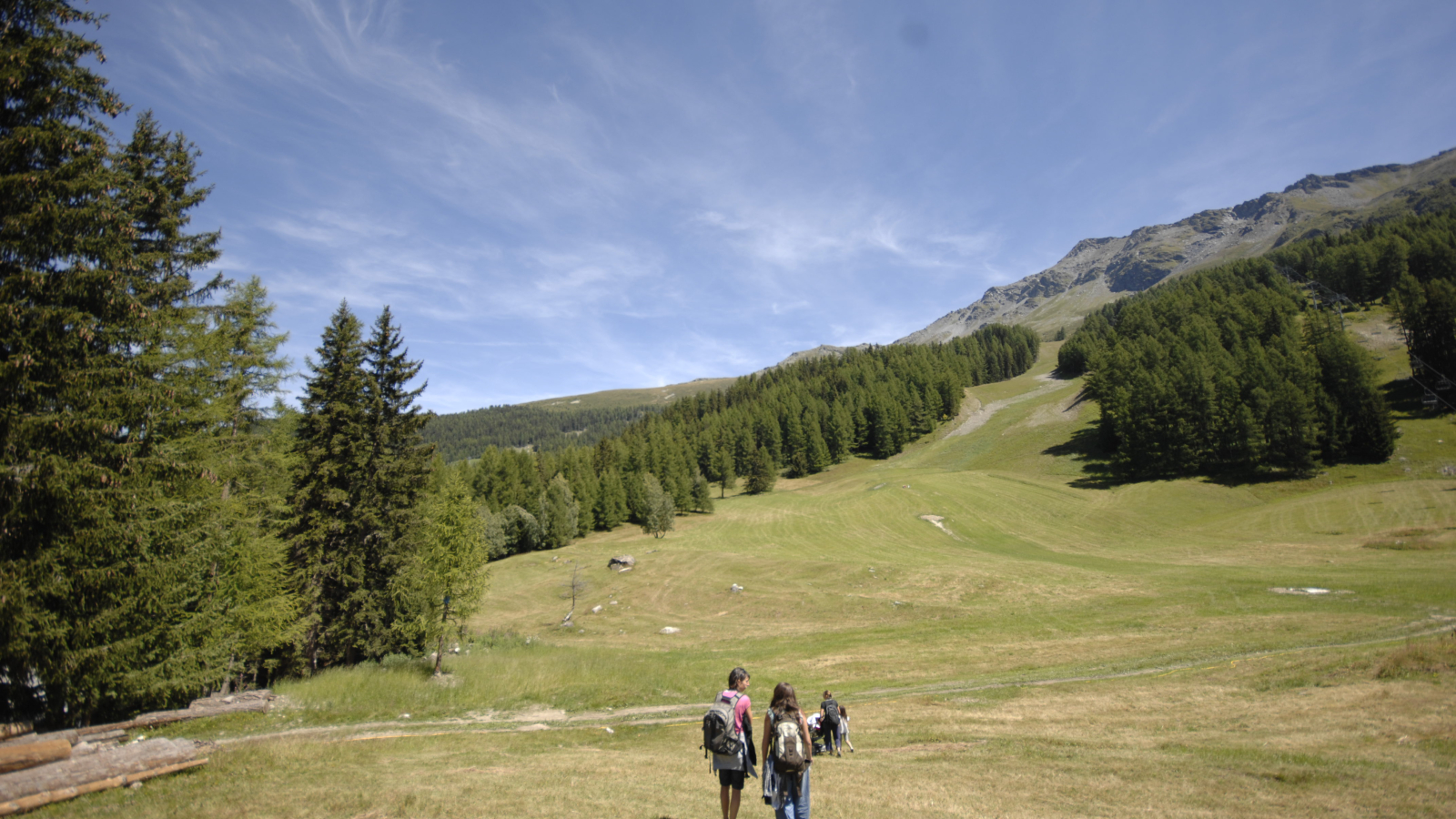 Plateau de Plan Bois