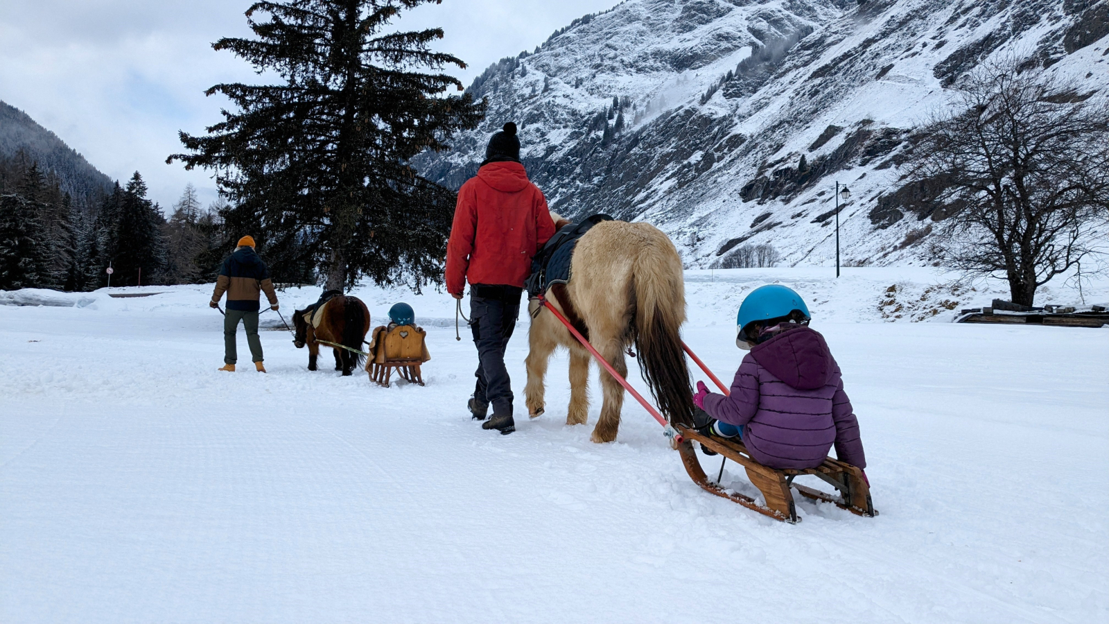 poney luge