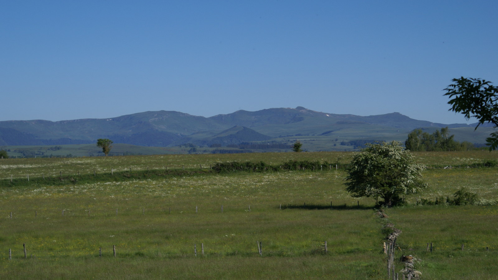 Vue sur le Plomb du Cantal