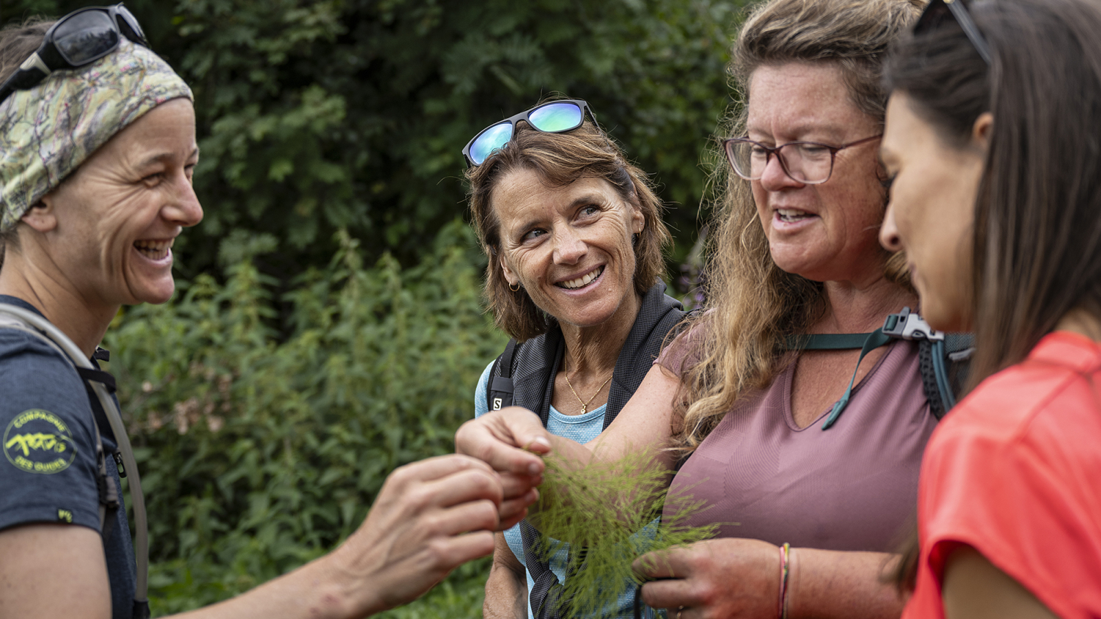 Randonnée plantes comestibles et culinaires