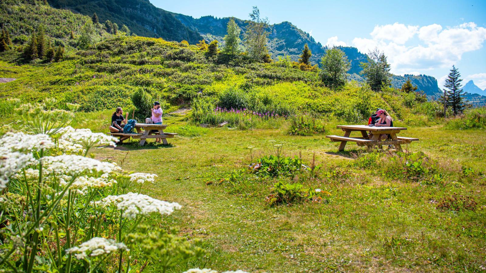 Two picnic tables with a view of Pointe Percée in the background