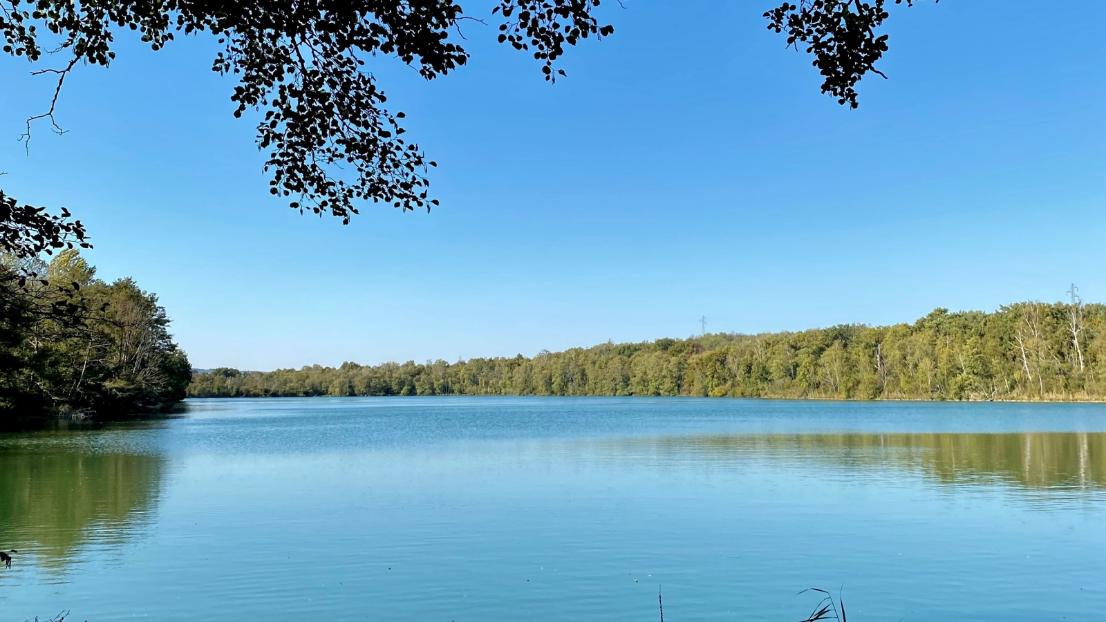 Espace Naturel Sensible de la Save - Arandon-Passins -  Balcons du Dauphiné - Nord-Isère - à moins d'une heure de Lyon