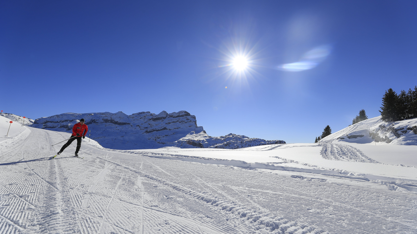 Skieur de fond