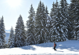 Balade en raquettes - Champagny-en-Vanoise