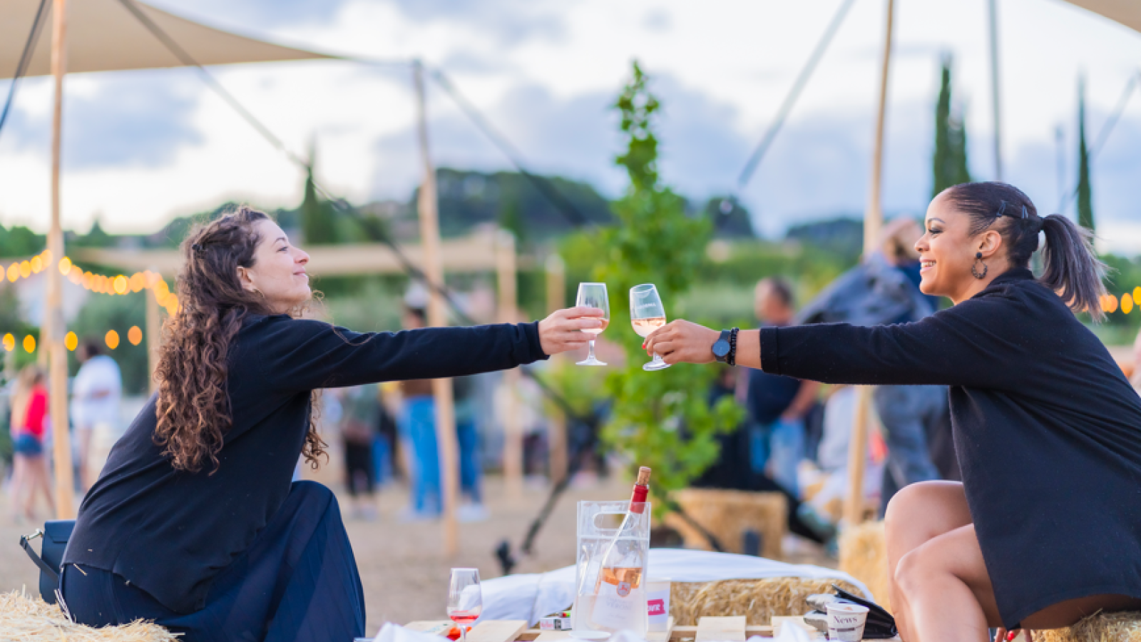 dégustation de vins