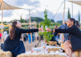 dégustation de vins