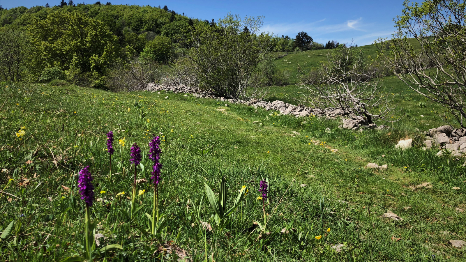 Col de Charbemènes