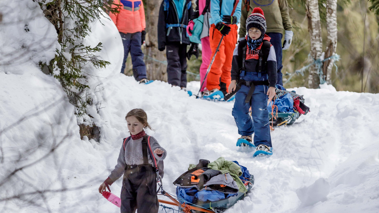 Expérience Grand Nord Junior - en forêt