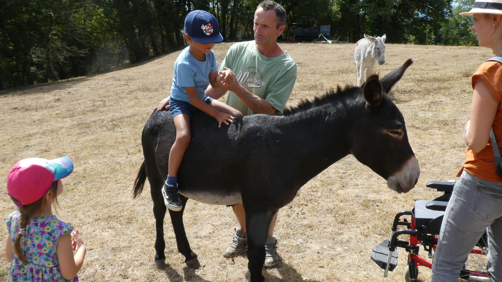 balade avec les ânes