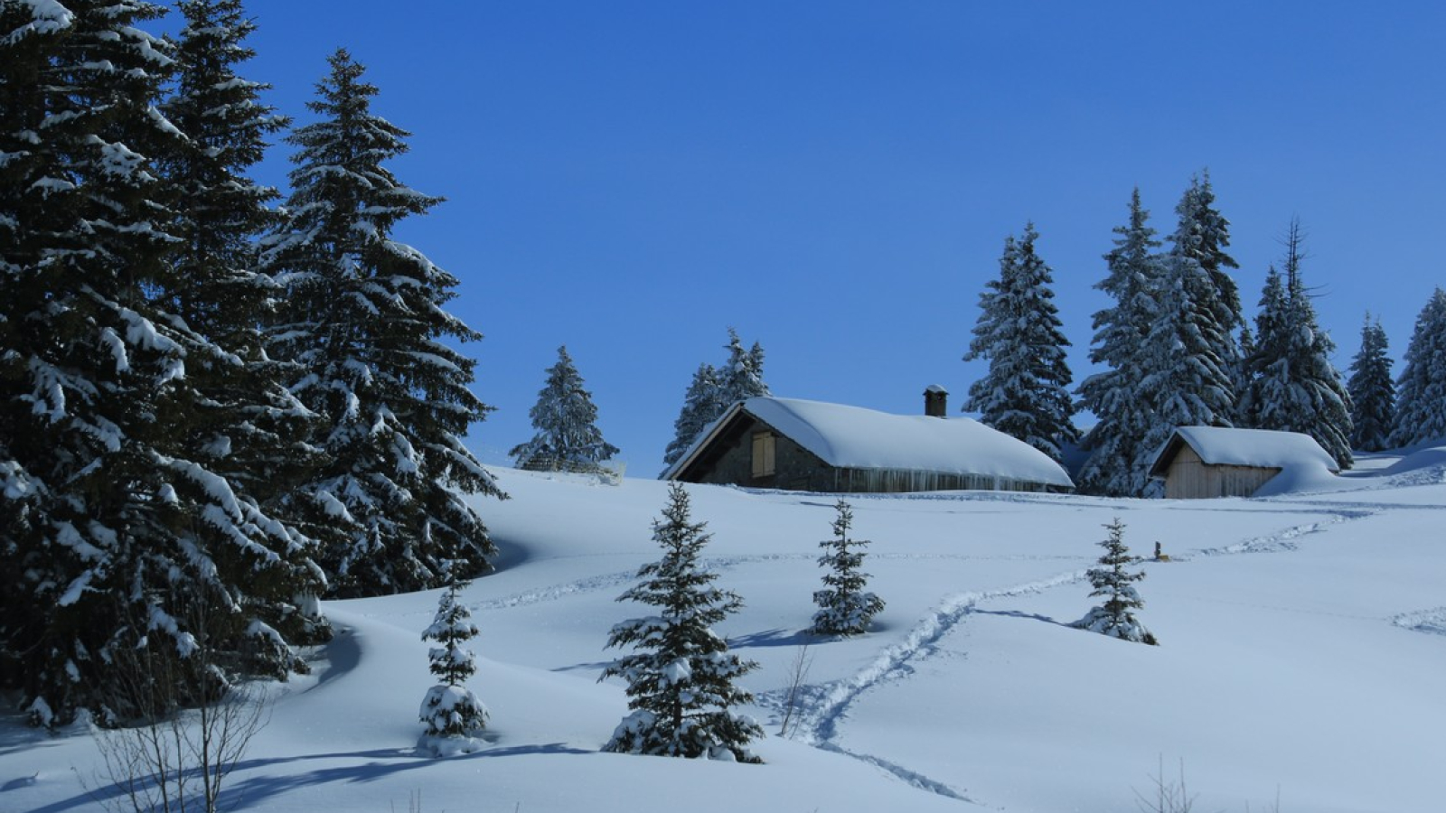 Alpages enneigés au col des Aravis