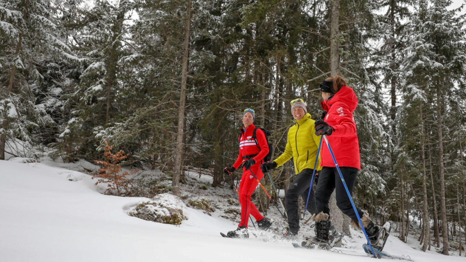 Groupe de raquettistes évoluant dans un décor hivernal en pleine forêt, encadré par un moniteur de l'ESF