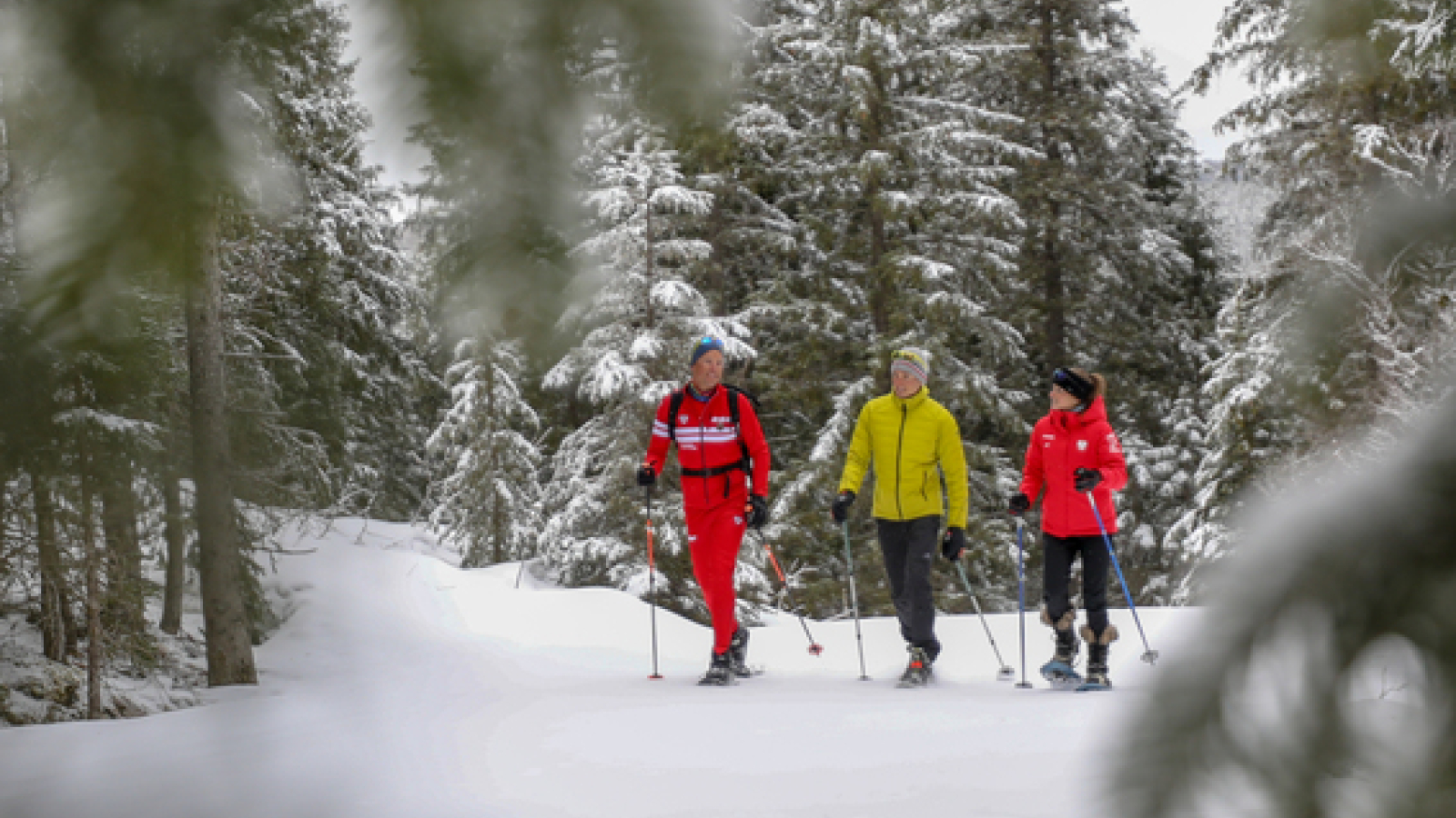 Groupe de raquettistes évoluant dans un décor hivernal en pleine forêt, encadré par un moniteur de l'ESF