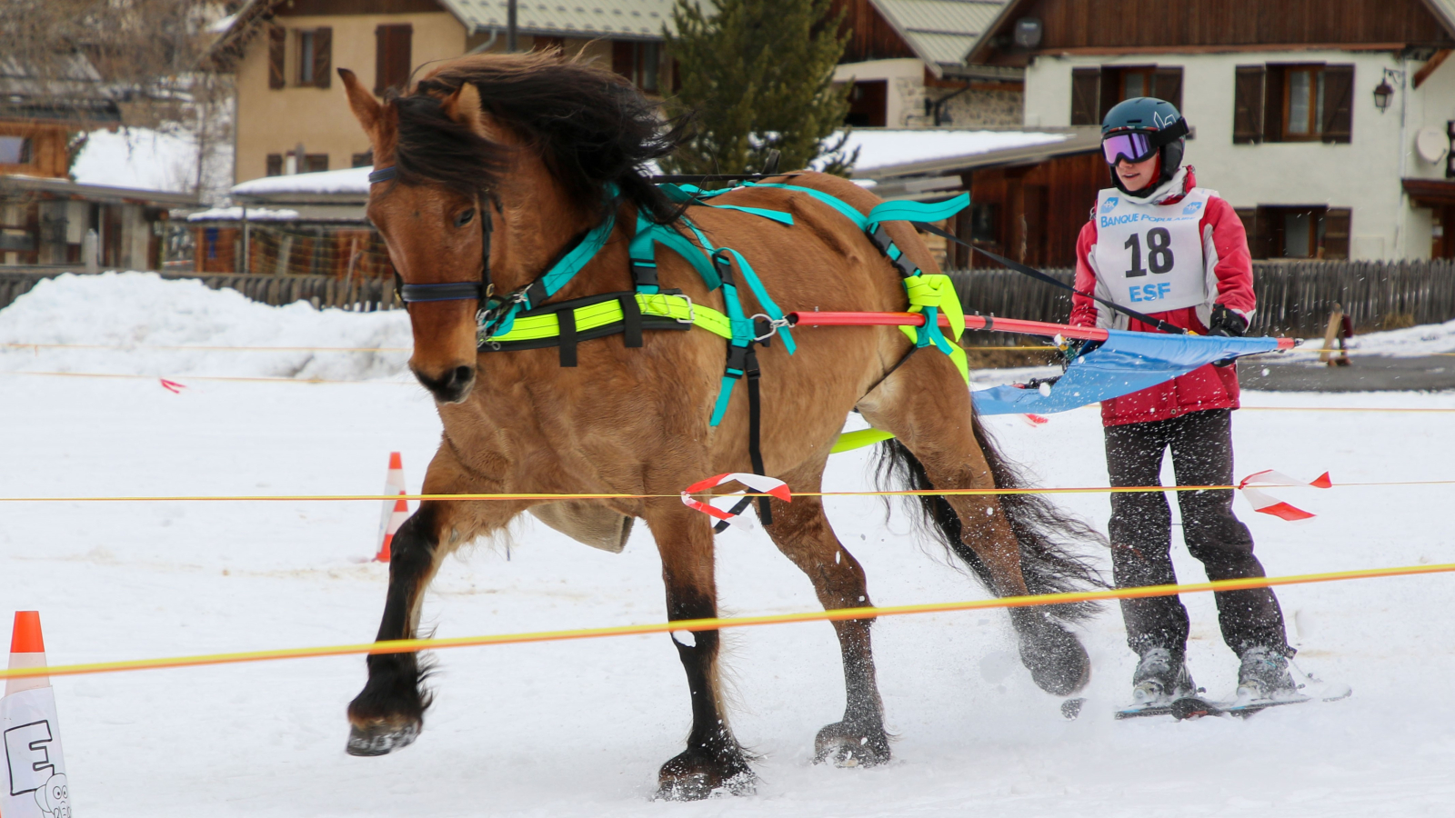 ski joering