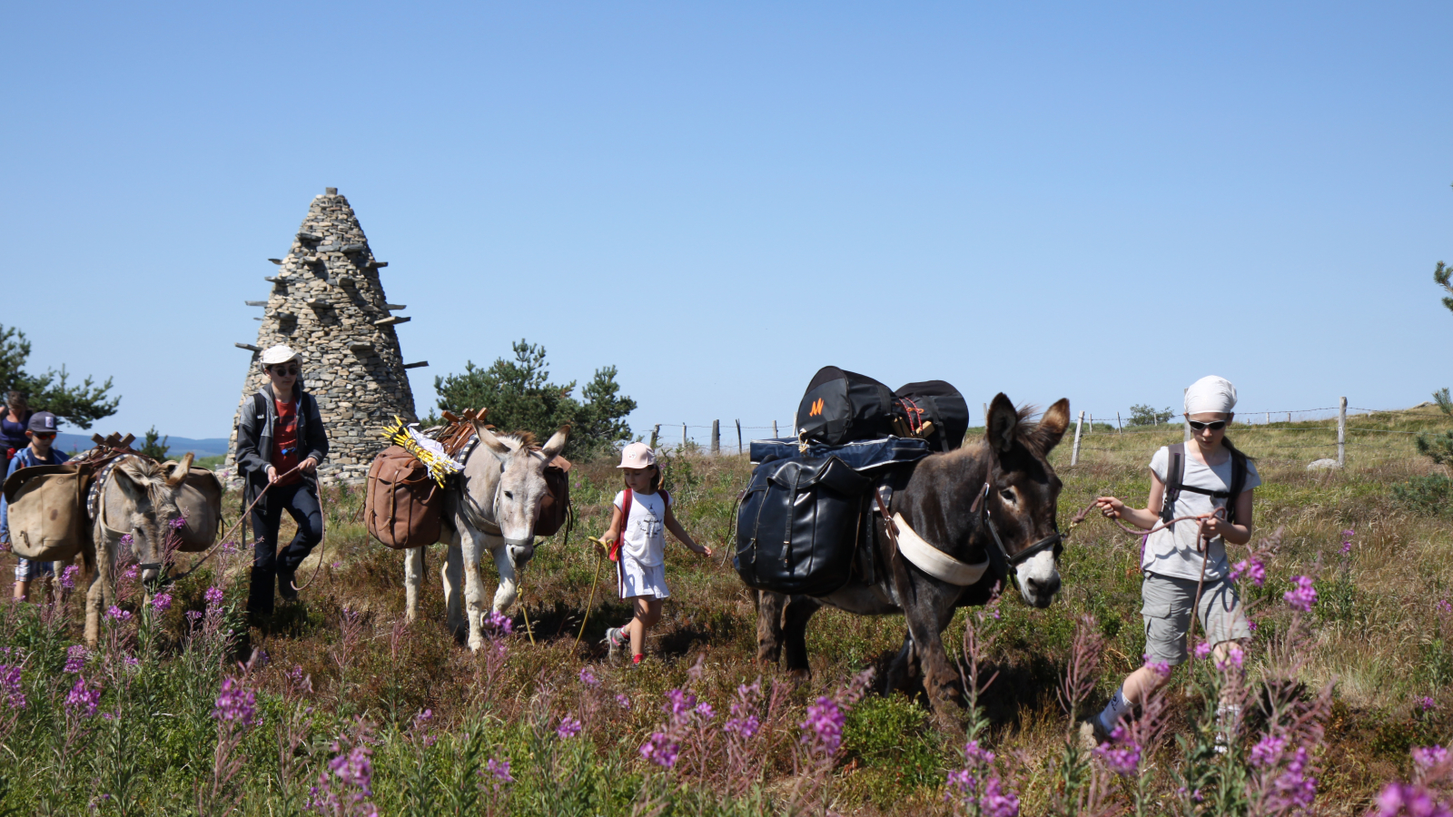 Randonnée avec les ânes sur les monts d'Ardèche