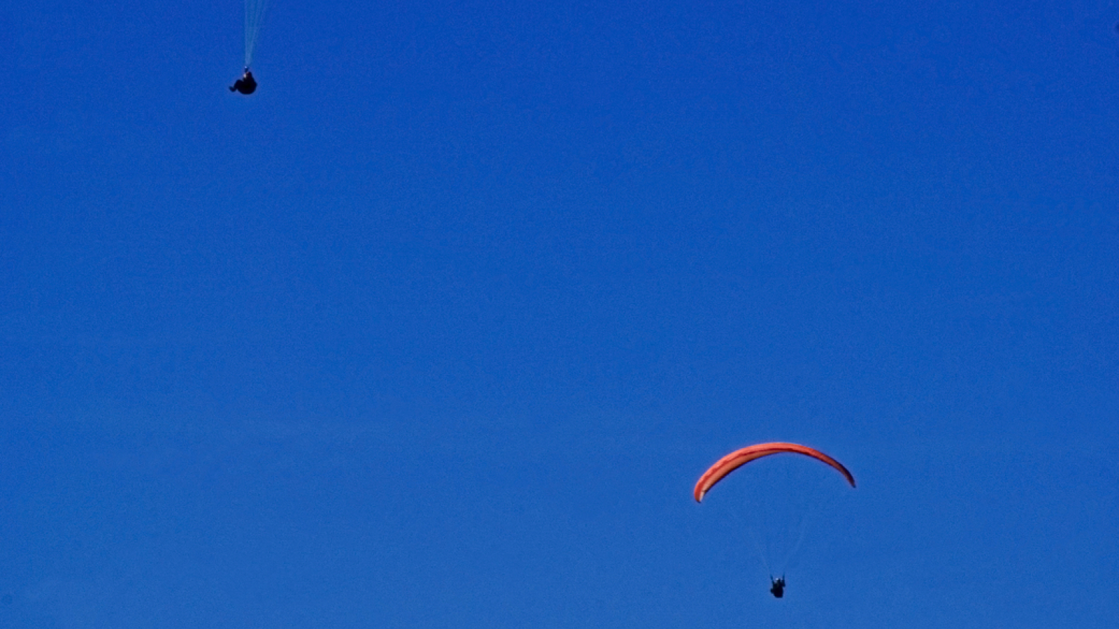 Parapente