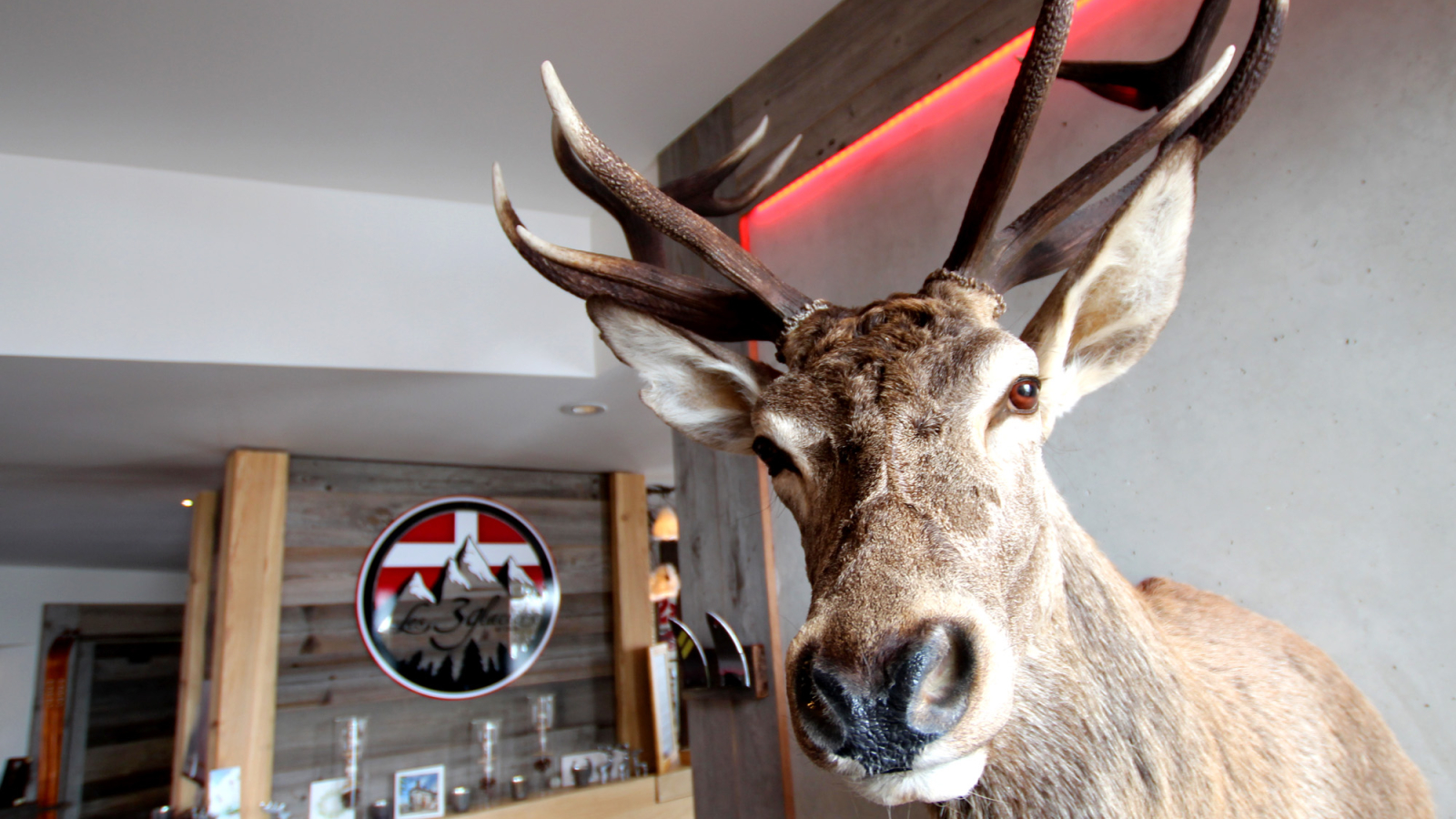 Déco restaurant Les 3 Glaciers