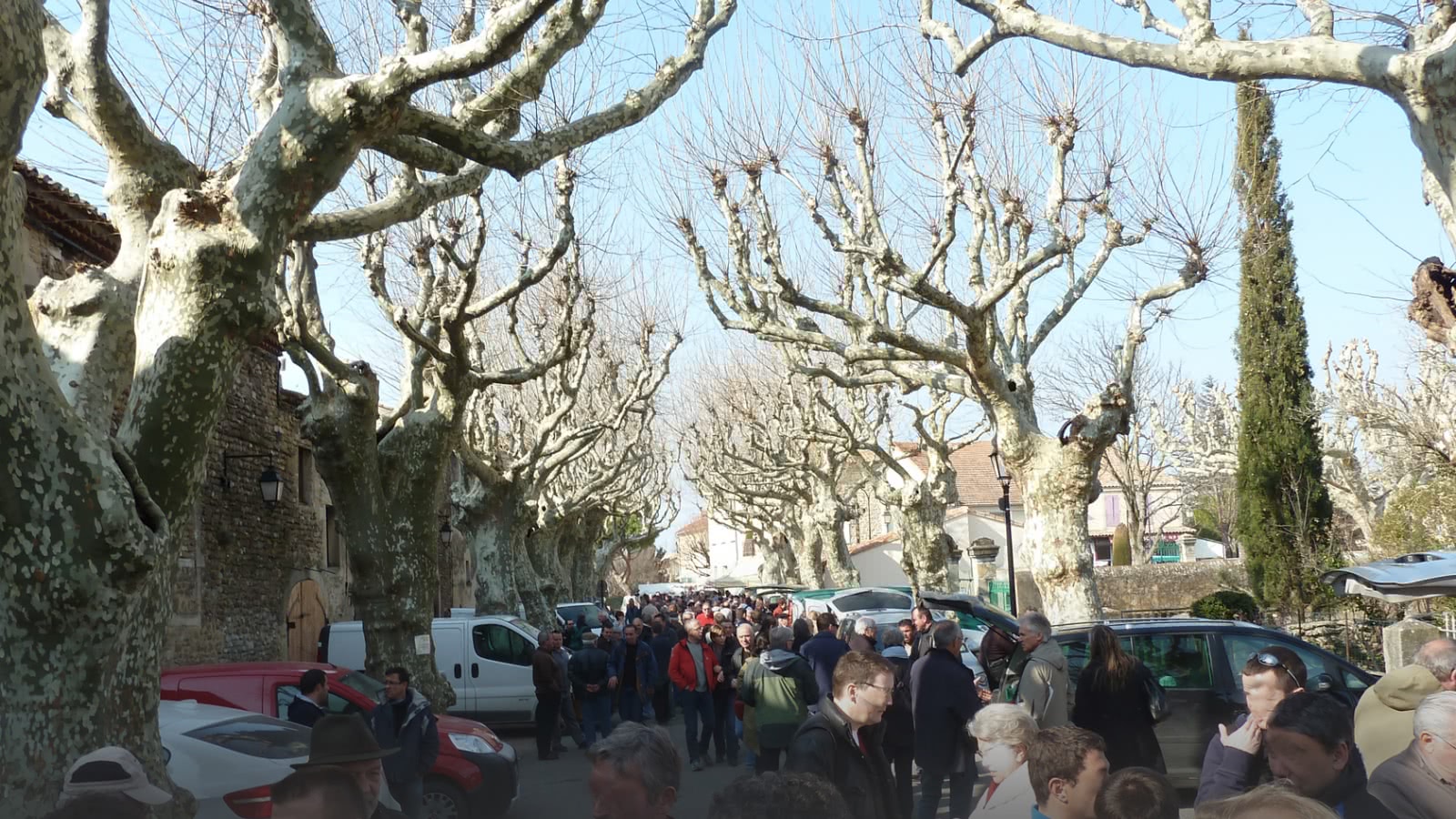 Week-end truffes au Mas des Alibeaux