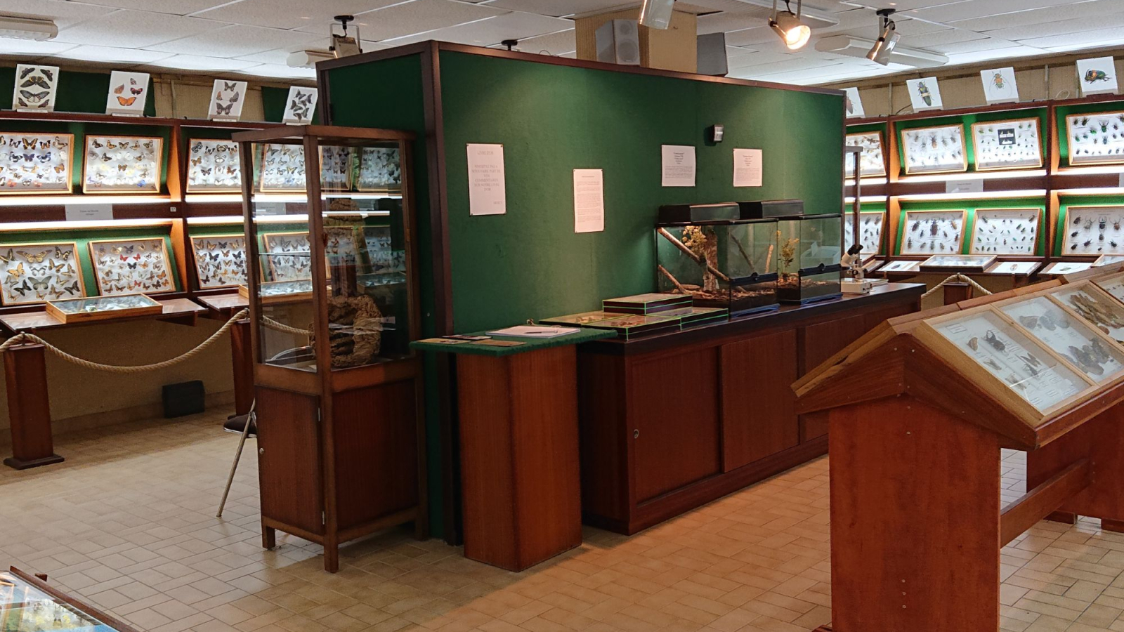 Exposition
