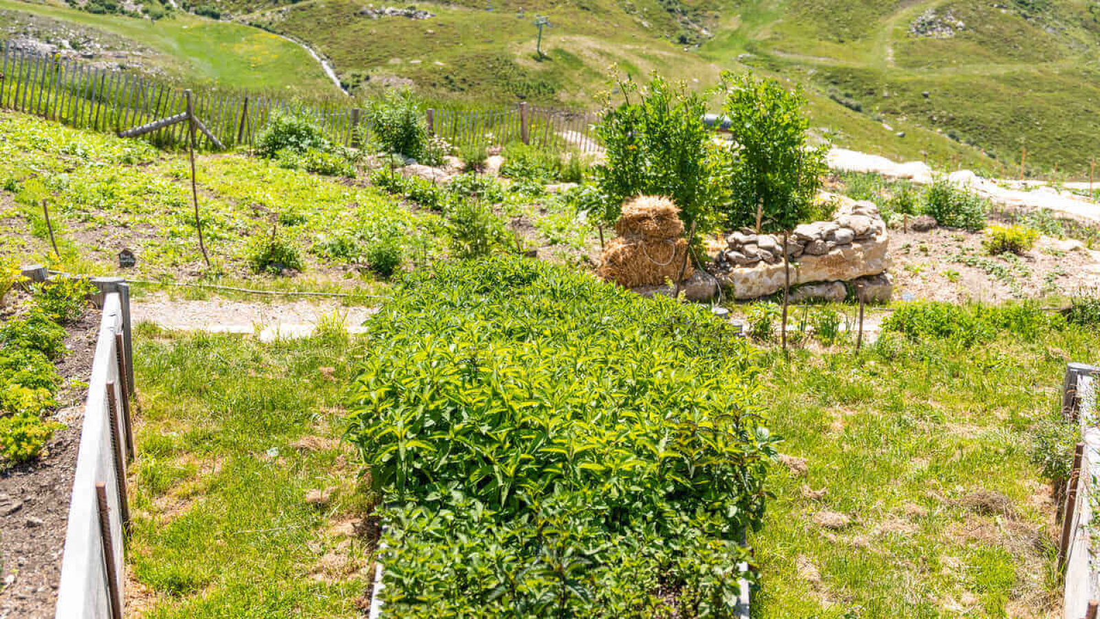 Jardin Chez Pépé Nicolas