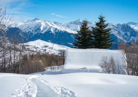 Walk to the alpine chalet