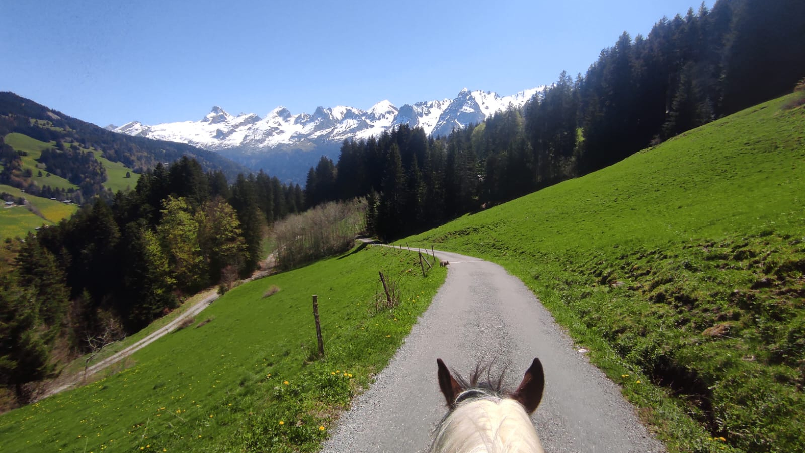 Balade à poney face à la chaîne des Aravis