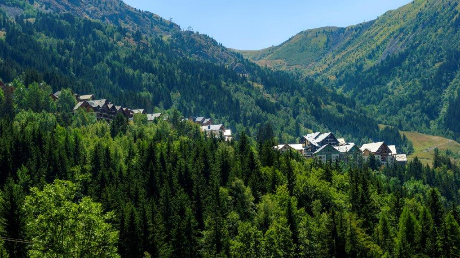 Vue station été, entourée de sapin