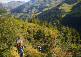 à l'approche des glaciers