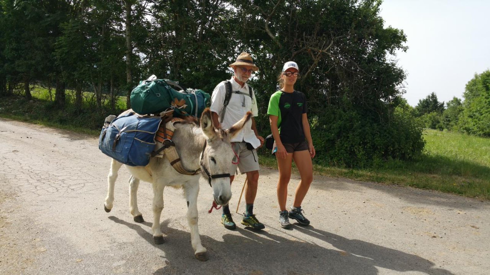 Randonnée et Bivouac avec des Anes - Séjour sans voiture