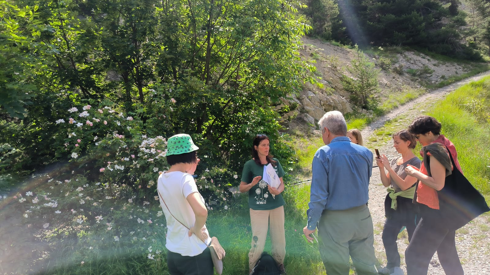 Group ethnobotanical outing in Aussois
