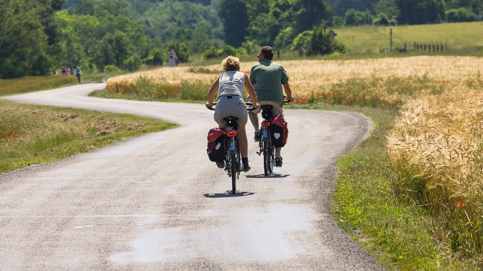 Découverte en duo de la Drôme provençale : à vélo électrique au pays de l'olive