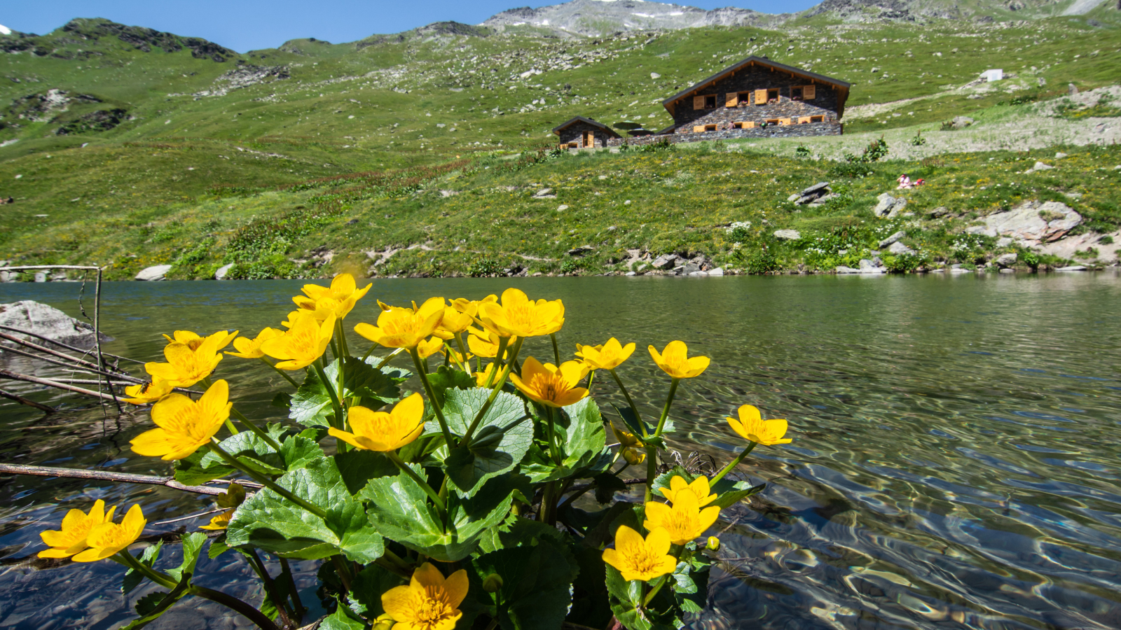 Lac du lou