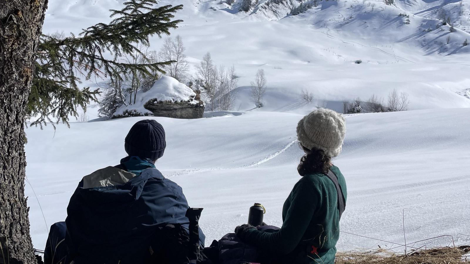 Randonneurs faisant une pause en contemplant la nature