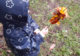 Photo sortie Les minis randonneurs