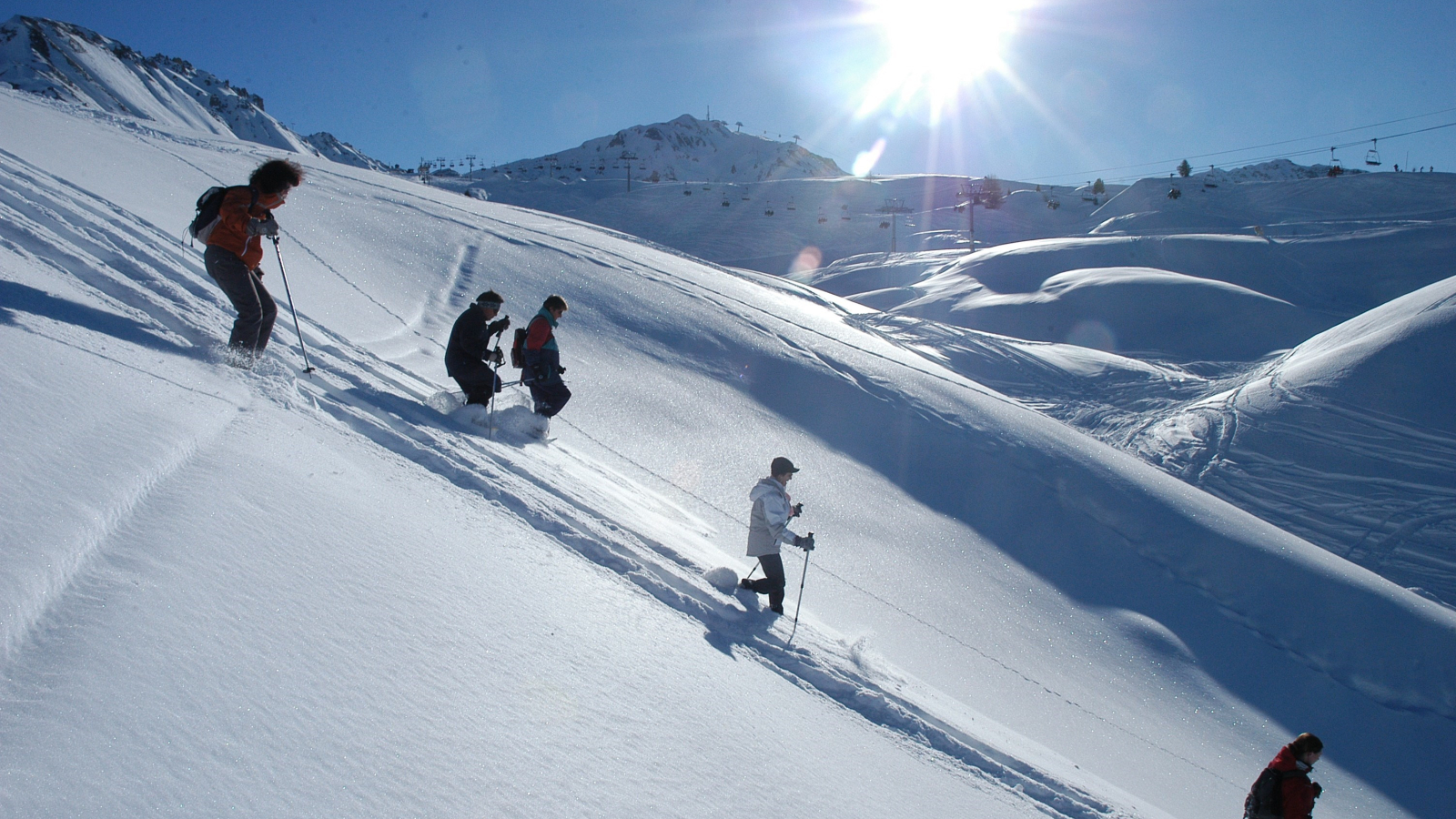 plateau de l'ours