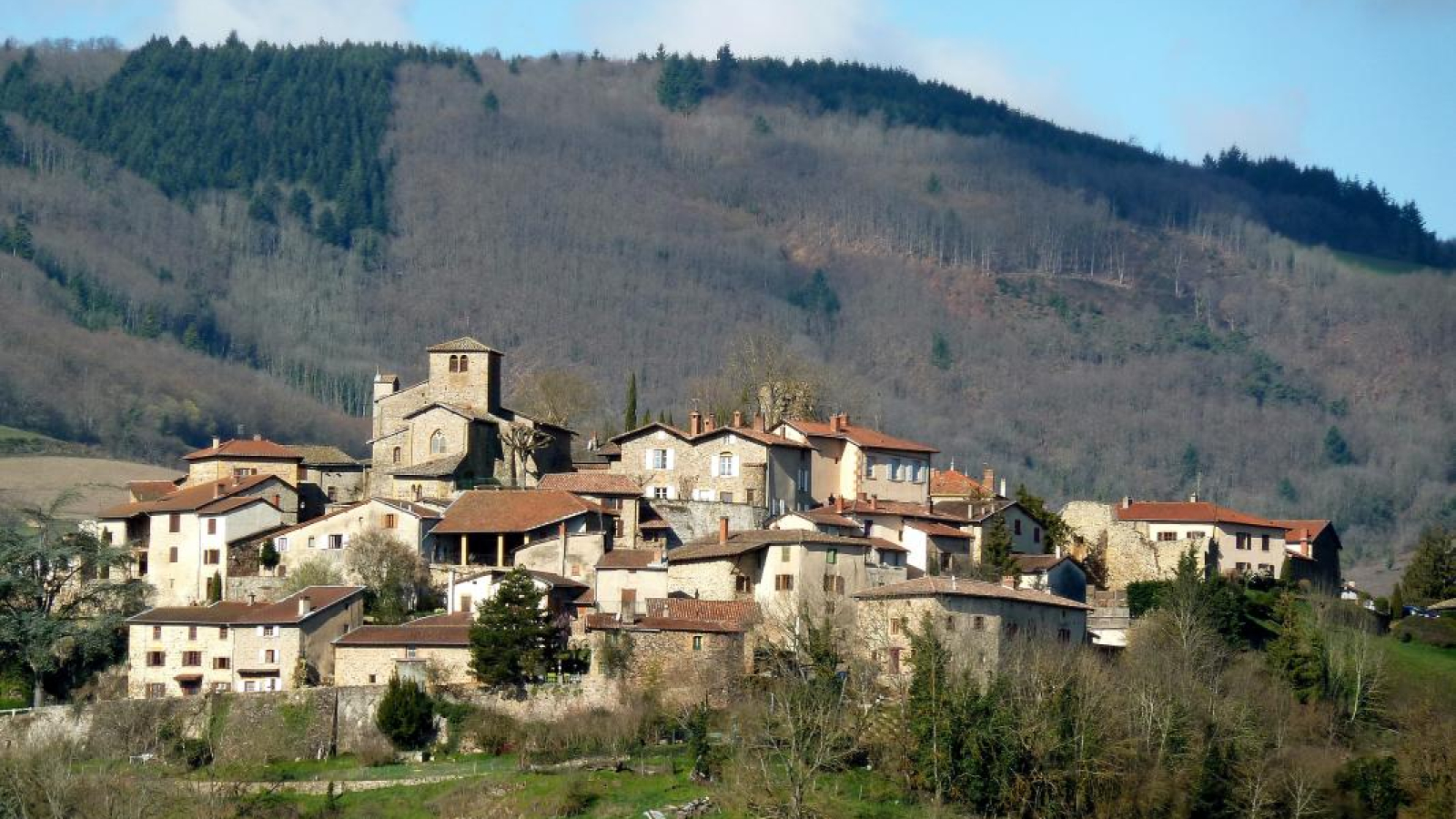 Gîte 'Chez le Vigneron' à Ternand (Rhône - Beaujolais Pierres Dorées) : le village médiéval de Ternand.