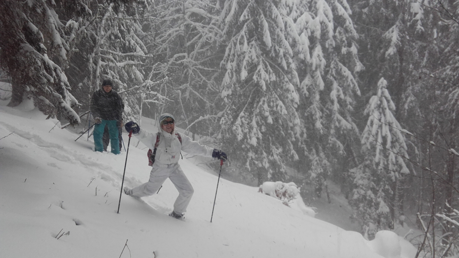 Descente ludique à travers bois