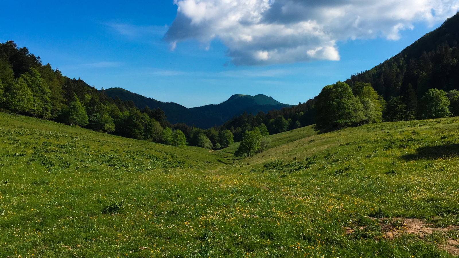 Combe du Cimetière - Grand Colombier - Col de la Biche - Sur Lyand