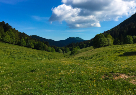 Combe du Cimetière - Grand Colombier - Col de la Biche - Sur Lyand