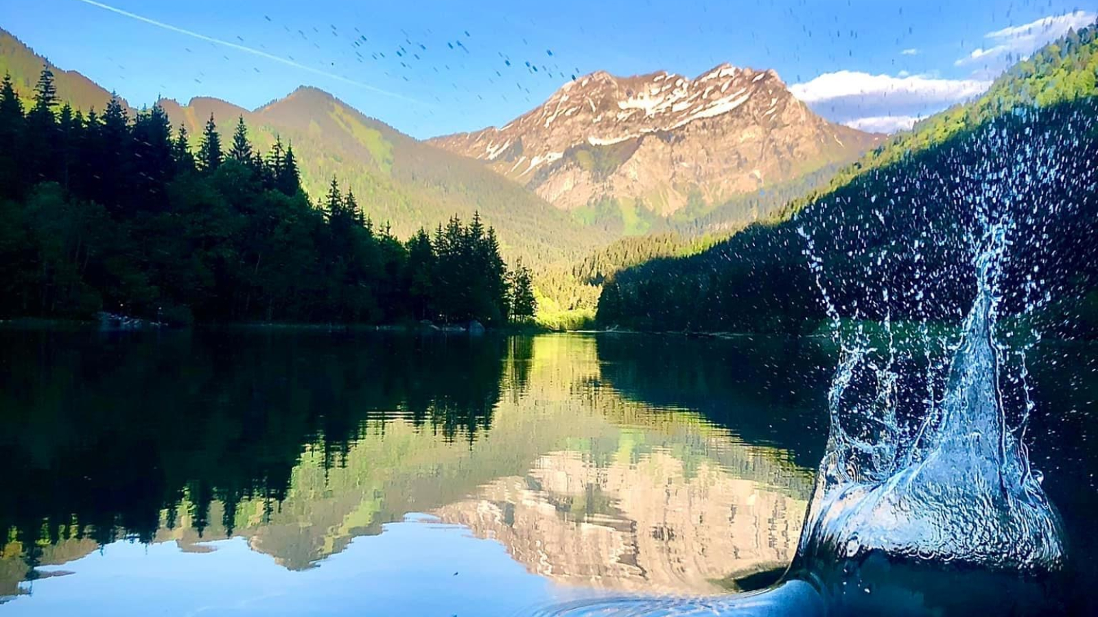 lac de vallon été