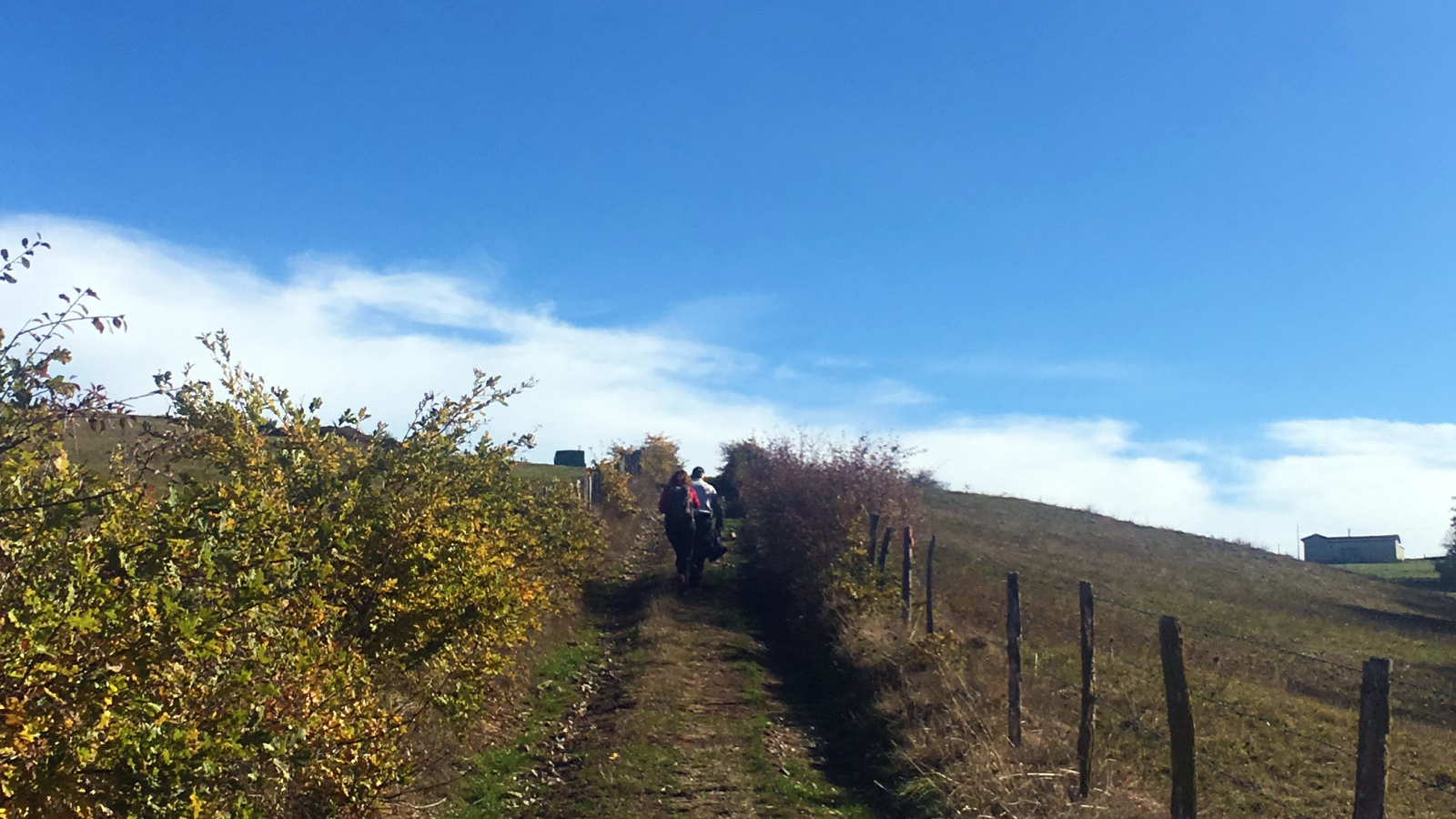 Sentier longeant un pré