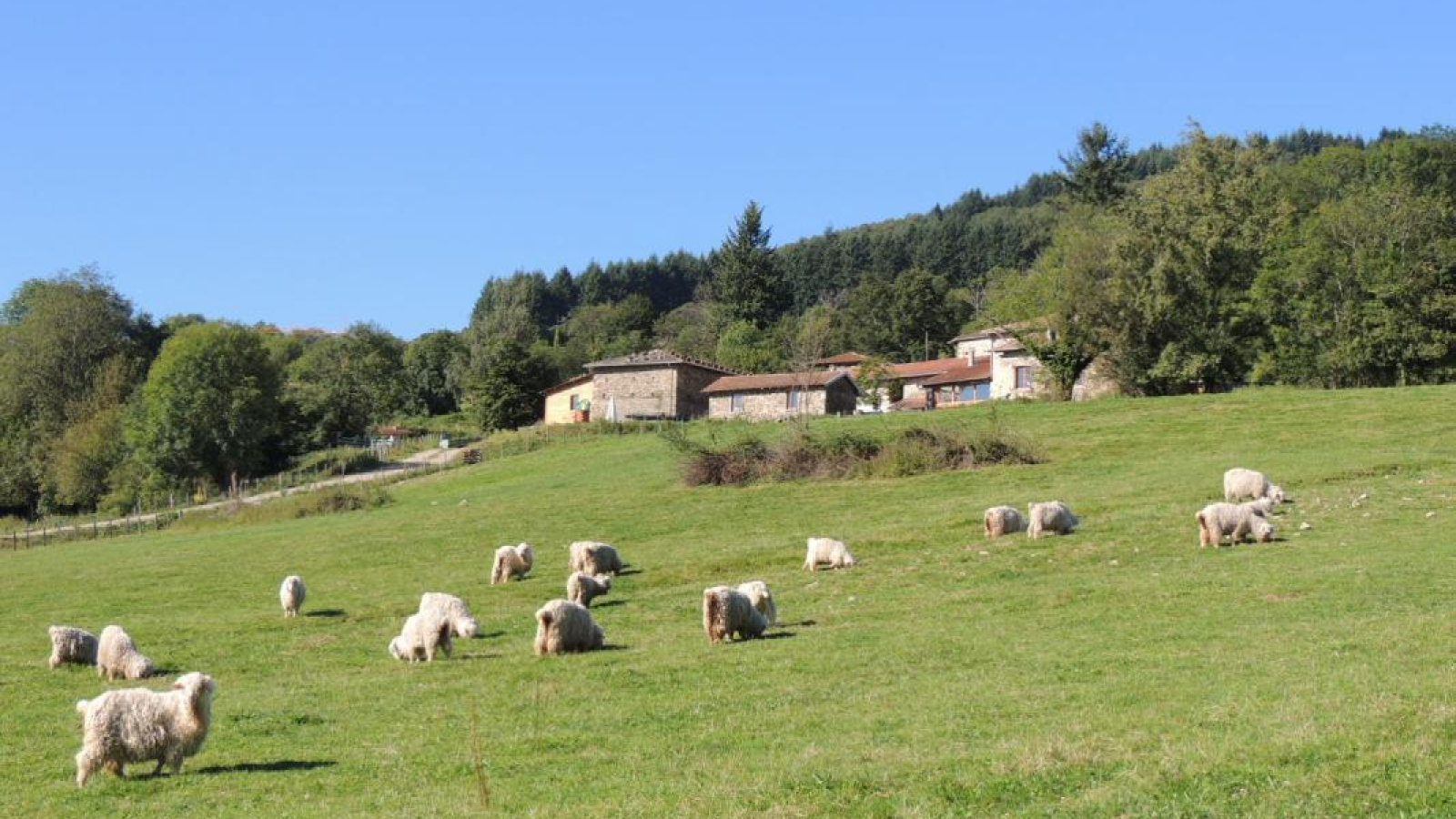 Gîte 'La Bégude d'Amalthée' à VERNAY, extérieur du gîte (Beaujolais - Rhône).