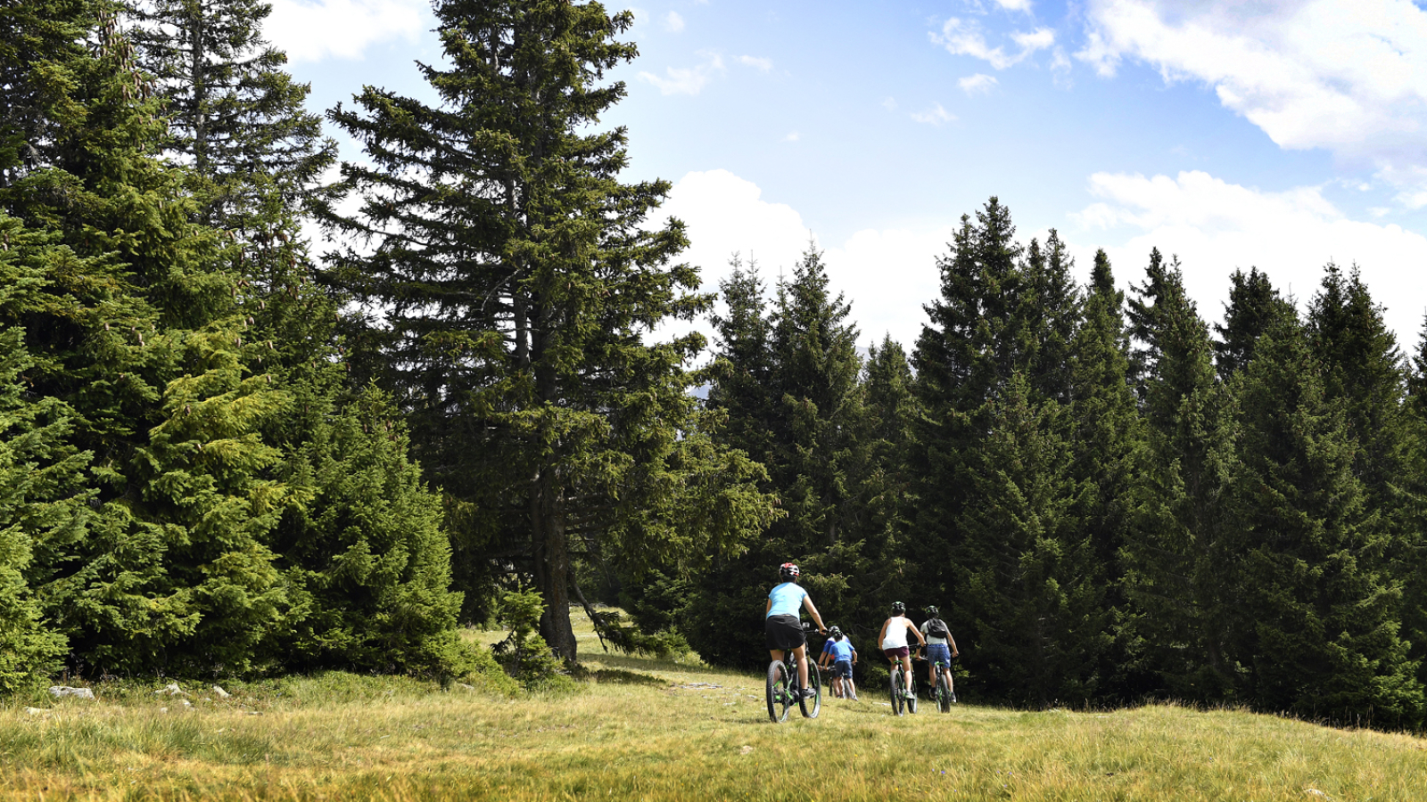 Ecole de vélo MCF de Chamrousse « Sgambato Mountain Activities »