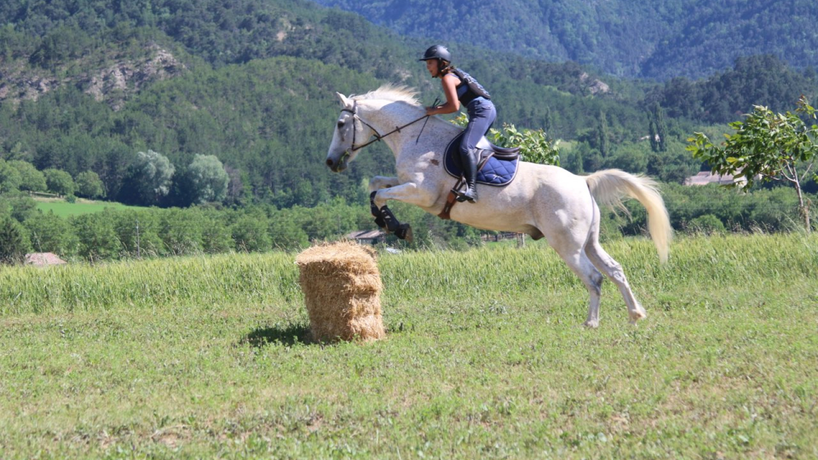 Saut d'obstacles