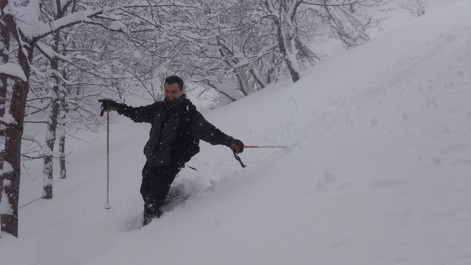 Descente ludique à travers bois