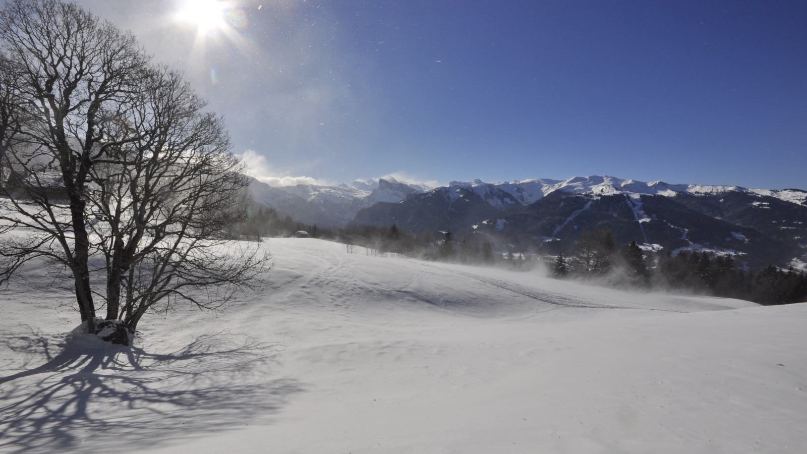 Journée pique-nique avec les chamois