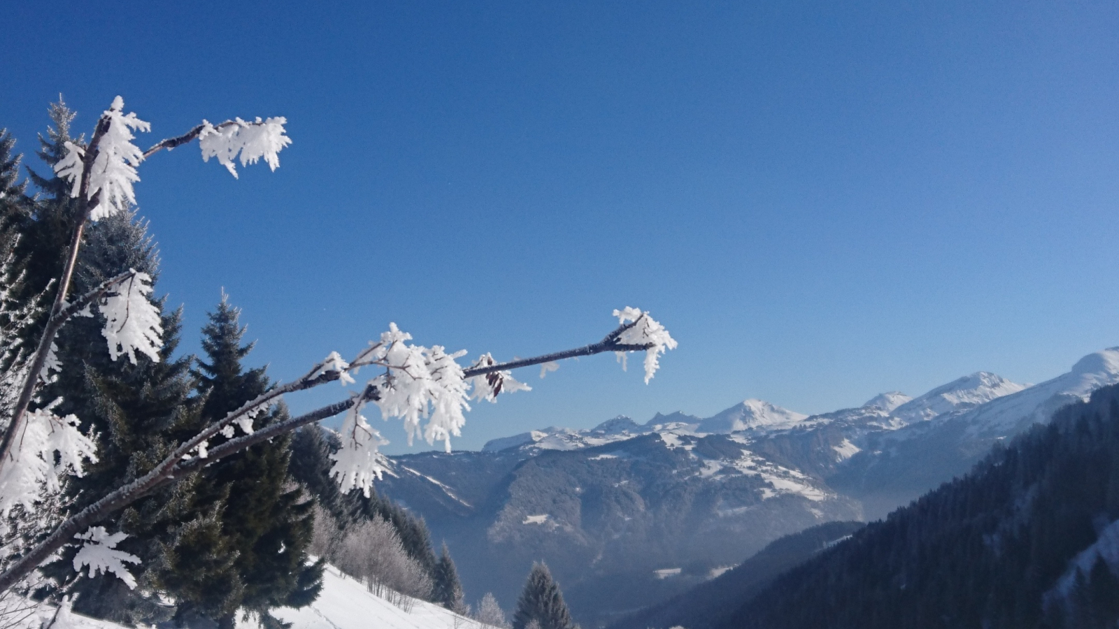 Magical Snow Treks