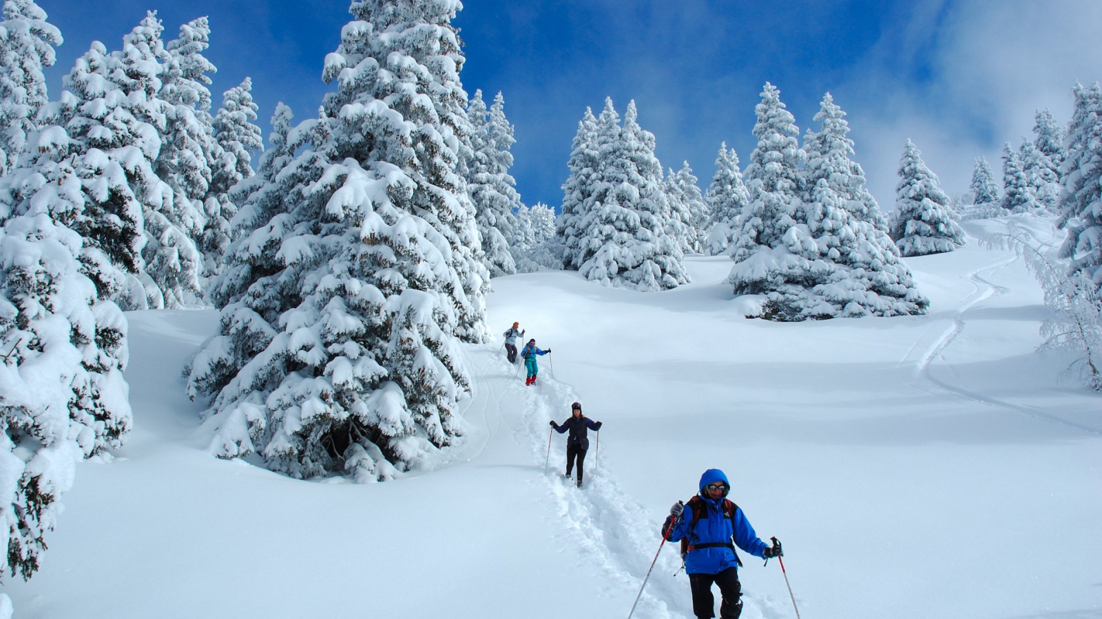 Descente dans la neige en raquettes