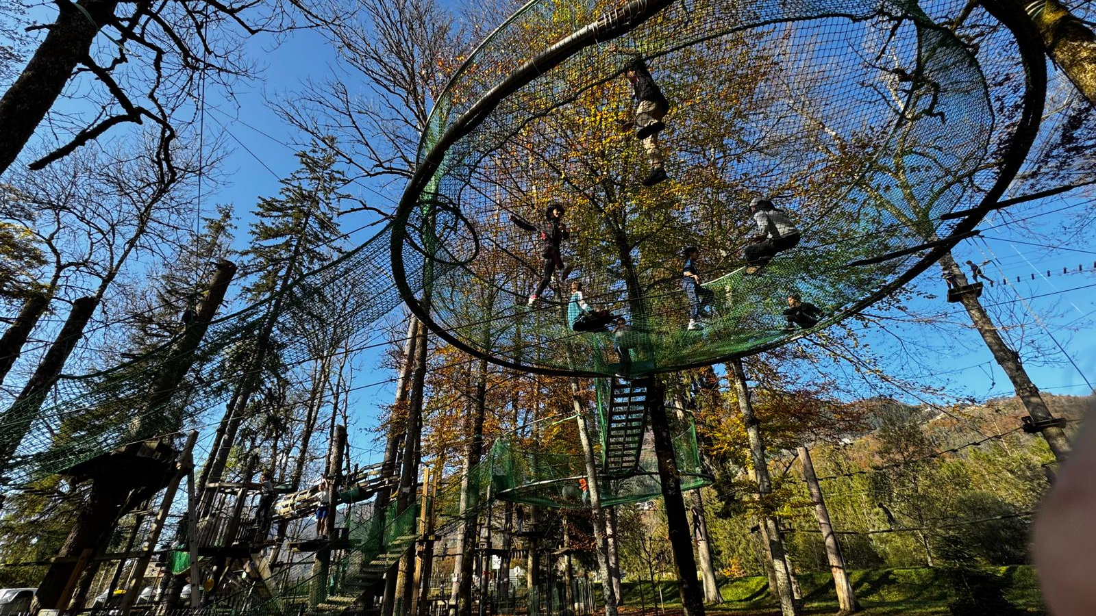 Les cages d'écureuil