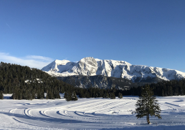 Chamrousse Arselle plateau picture